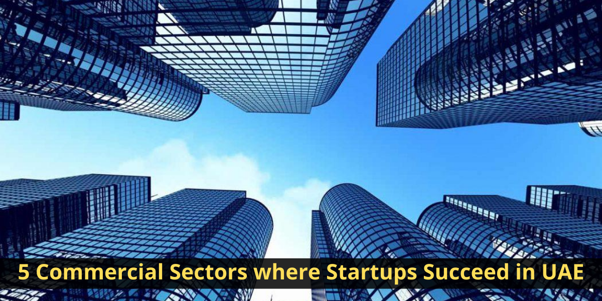 5 Commercial Sectors where Startups Succeed in UAE Commercial Sectors dubai