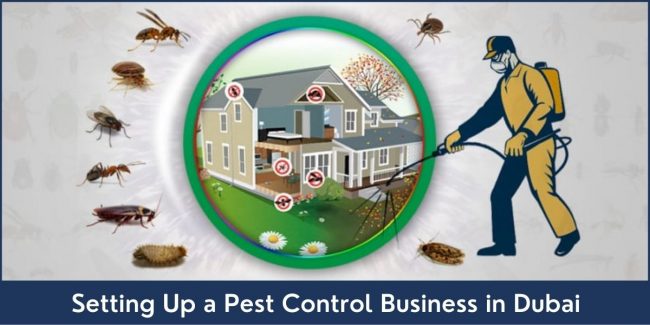 Pest Control Business Setup in Dubai Pest Control Business Setup in UAE