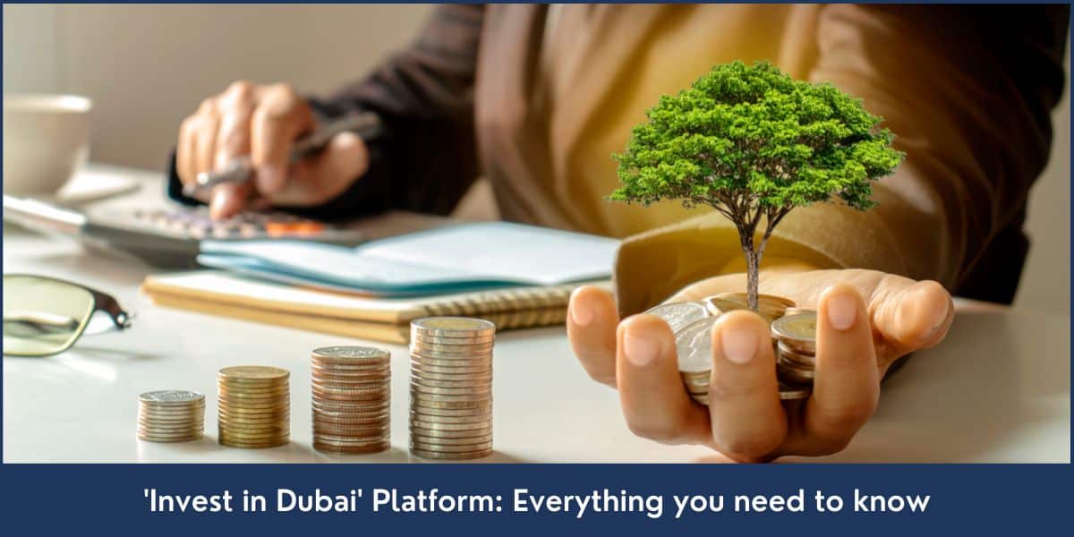 Invest in Dubai Platform invest in dubai