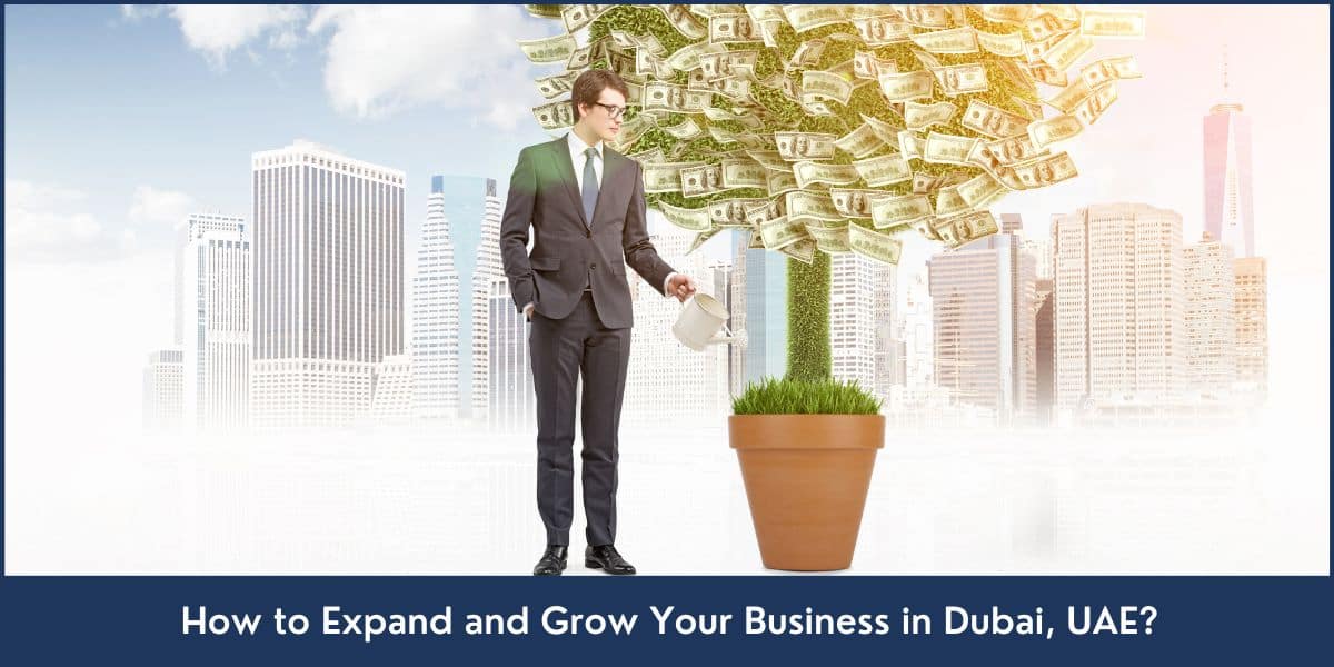 Expand and Grow Your Business in Dubai 10 best strategies for business growth and expansion in Dubai, UAE